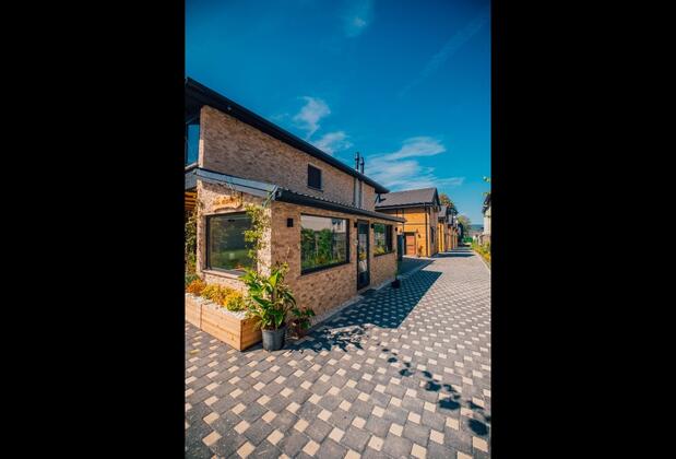 Nana Sapanca - Görsel 17