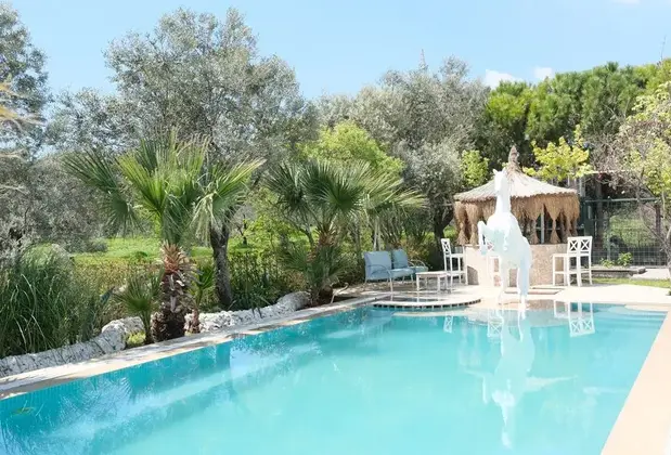 Dream Farm Butik Otel - Görsel 13