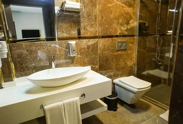 Aram Otel Business  Luxury - Görsel 5