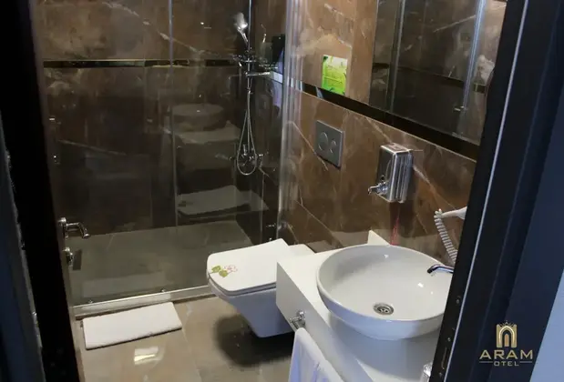 Aram Otel Business  Luxury - Görsel 8