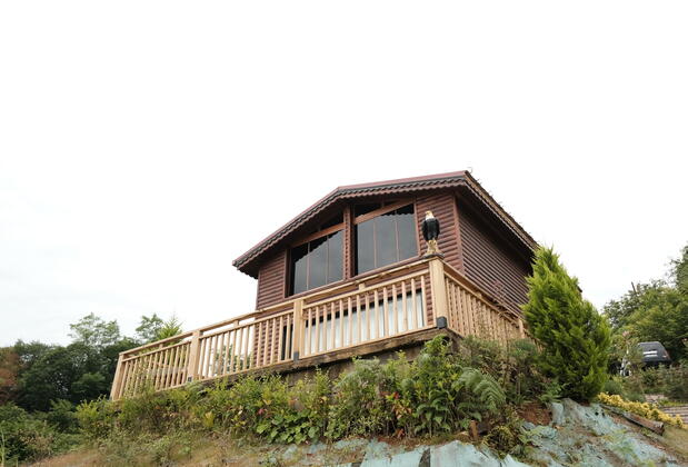 Trabzon Patika Orman Evleri - Görsel 15