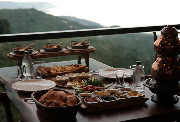 Trabzon Patika Orman Evleri - Görsel 18