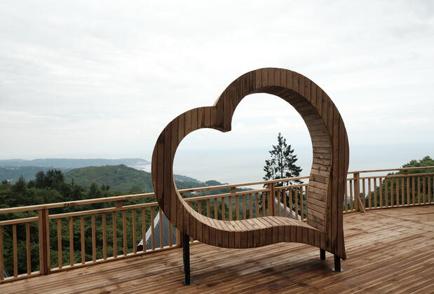 Trabzon Patika Orman Evleri - Görsel 25