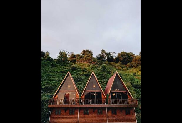 Mapavri Suit - Görsel 3