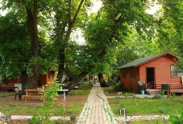 Sarıkavak Apart - Görsel 8