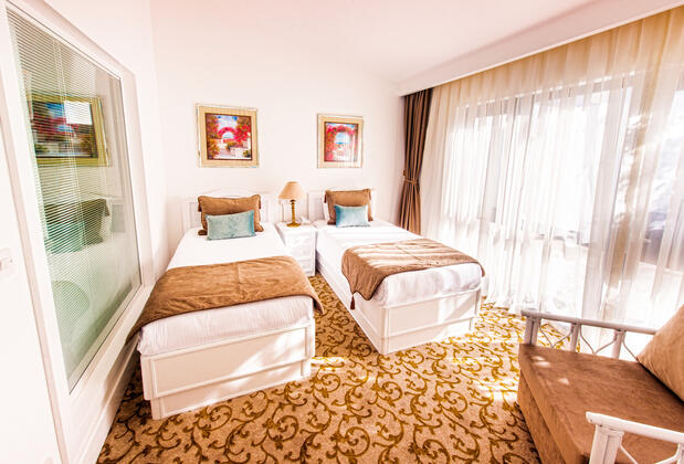 The Olive Tree - Görsel 6