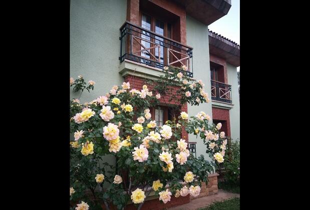 Pendosis Otel - Görsel 6