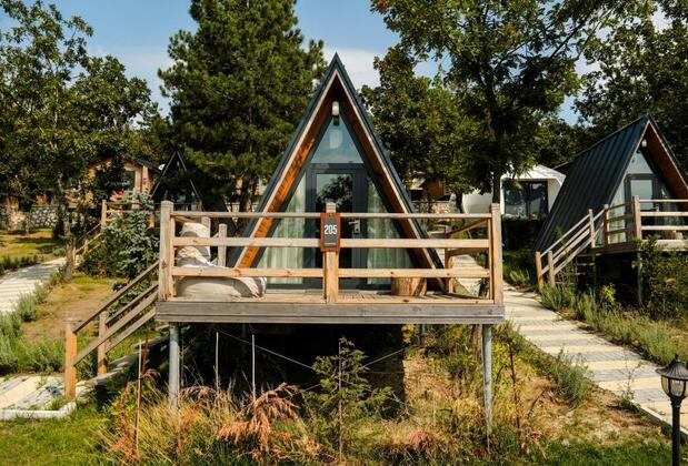 Nefes Dağyenice - Görsel 4