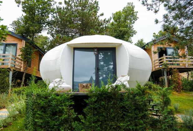 Nefes Dağyenice - Görsel 5