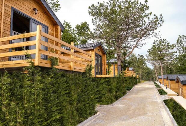 Nefes Dağyenice - Görsel 13