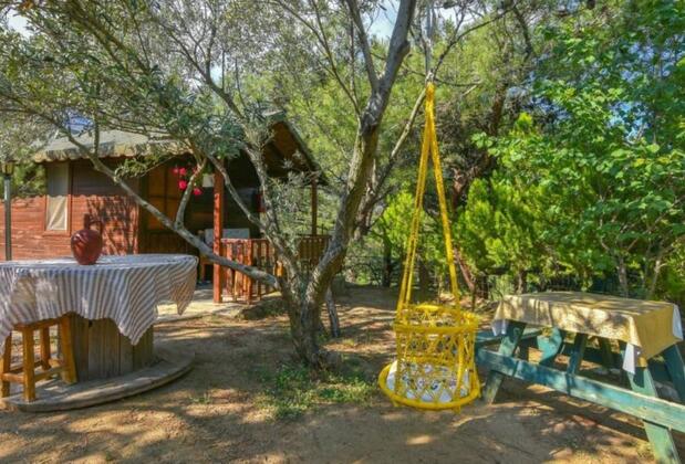 Jippe İda Dağ Evleri - Görsel 4