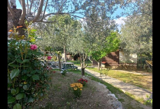 Jippe İda Dağ Evleri - Görsel 15