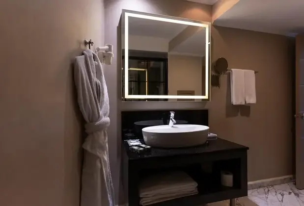 Ankara Plaza Hotel - Görsel 13