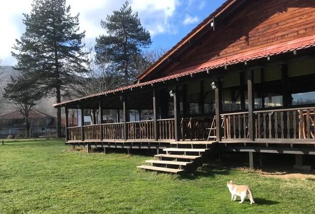 Tekir Köy Evi - Görsel 2