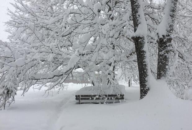 Tekir Köy Evi - Görsel 12