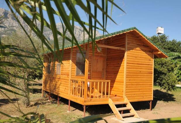 Elamir Beach Bungalow - Görsel 3