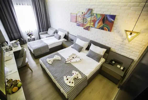 Laren Family Hotel & Spa - Görsel 4