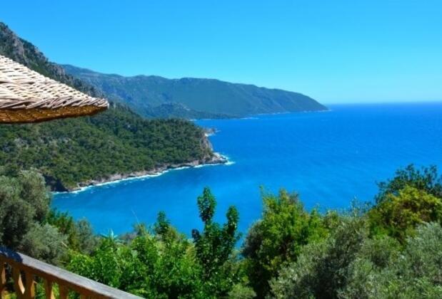  Armes Kabak  - Görsel 2