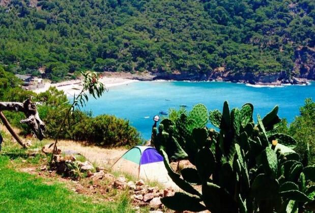  Armes Kabak  - Görsel 20