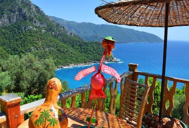  Armes Kabak  - Görsel 4