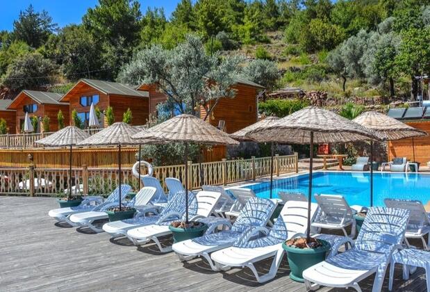  Armes Kabak  - Görsel 16