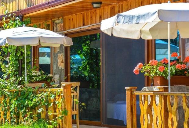  Armes Kabak  - Görsel 9