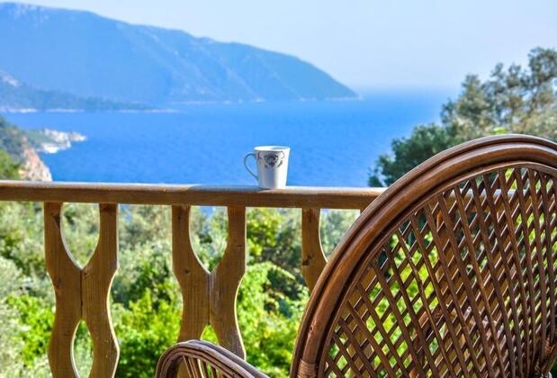  Armes Kabak  - Görsel 5