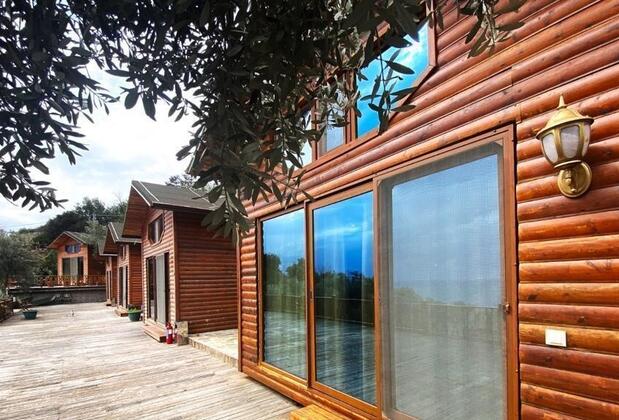  Armes Kabak  - Görsel 10