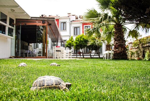 Lavinya Otel Bozcaada - Görsel 4