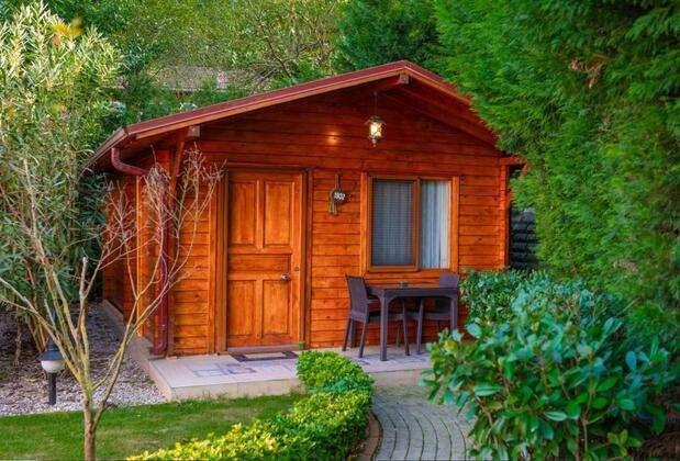 Sapanca Alfa Suites & Spa - Görsel 7