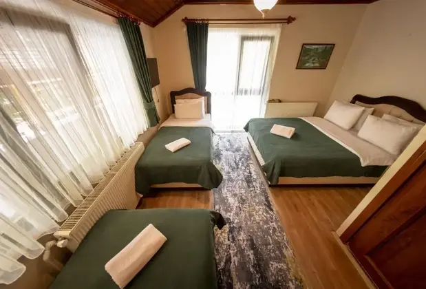 Abant Zümrüt Dağ Evi - Görsel 3