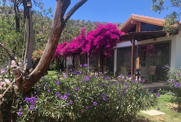 Palamutbükü Menekşe Apart - Görsel 8