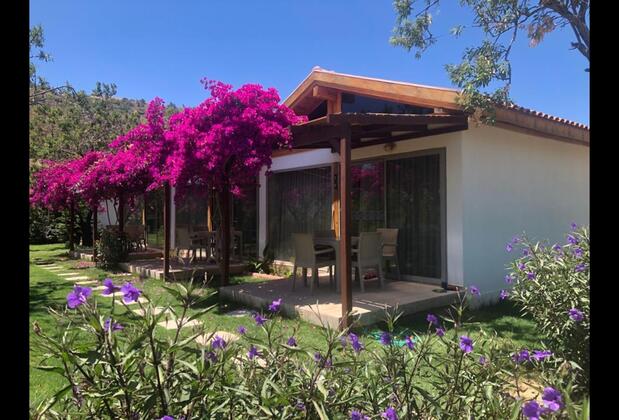 Palamutbükü Menekşe Apart - Görsel 9