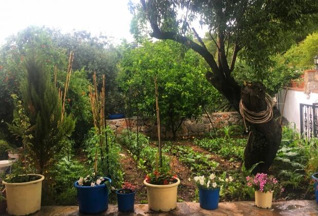 Söğüt Alesta Apart Pansiyon - Görsel 10