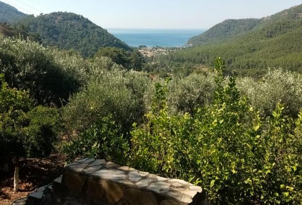 Hotel Falcon Crest - Görsel 11