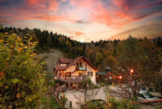 Doğa Köşkü Abant Bungalow Evleri - Görsel 5