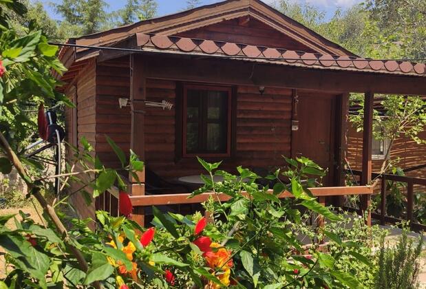 Sempati Ağaç Evler - Görsel 2