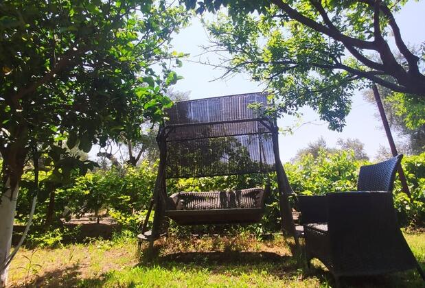 Sempati Ağaç Evler - Görsel 9