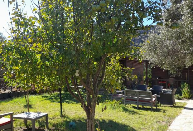 Sempati Ağaç Evler - Görsel 10