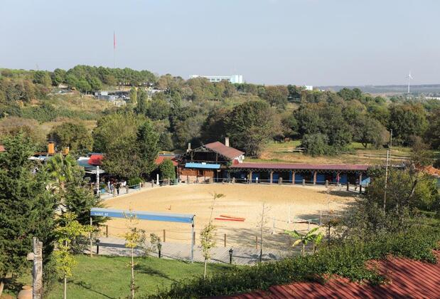 Mavi At Hotel Blue Horse - Görsel 8