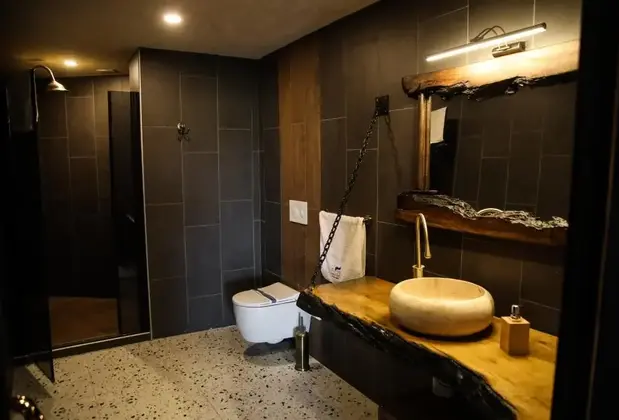 Mavi At Hotel Blue Horse - Görsel 13