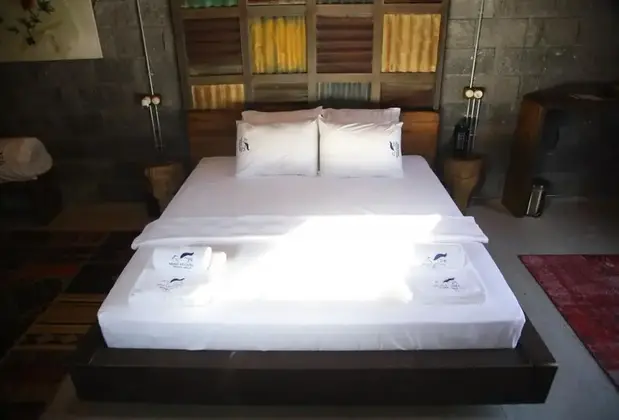 Mavi At Hotel Blue Horse - Görsel 17