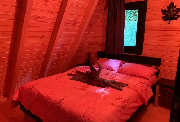 Sapanca Çağlayan Bungalov - Görsel 8