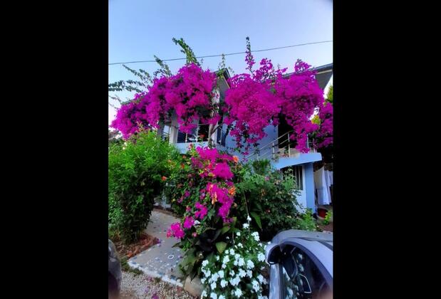 Muğla Söğüt Keleş Pansiyon & Otel - Görsel 4