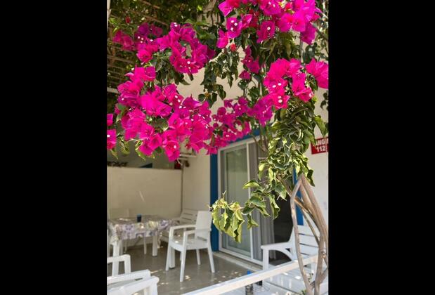 Mandalin Butik Apart & Mazı - Görsel 13