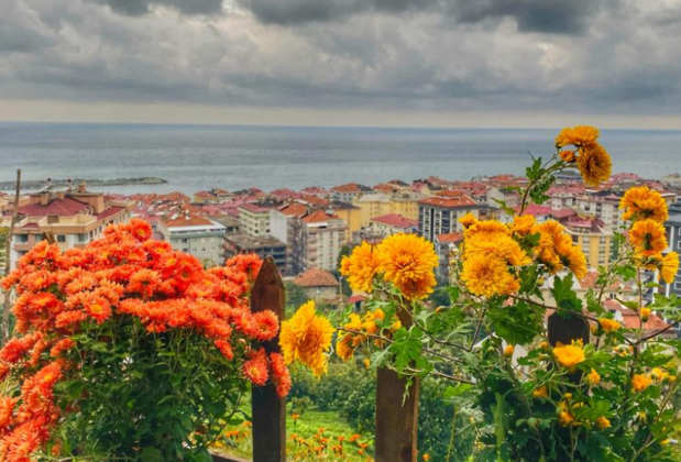 Lavinya Suit Bungalov - Görsel 18