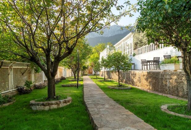 Apa Mountain Lodge - Görsel 3