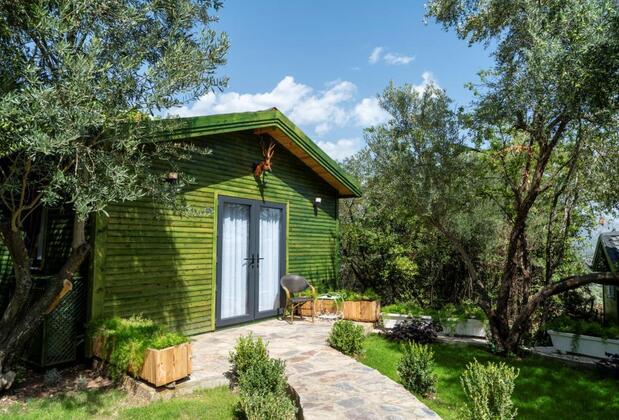 Apa Mountain Lodge - Görsel 6