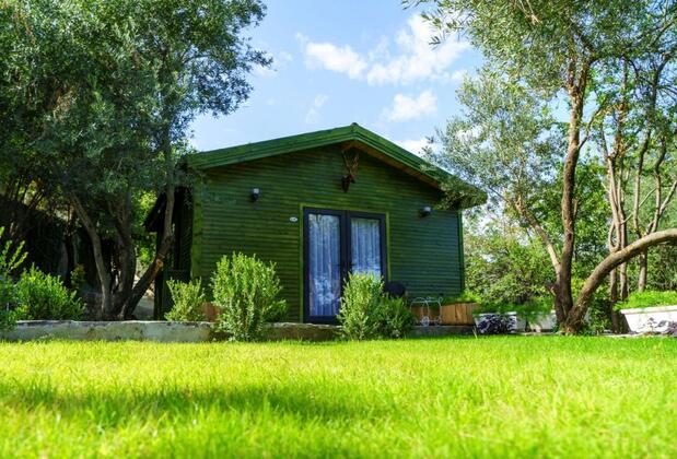 Apa Mountain Lodge - Görsel 9