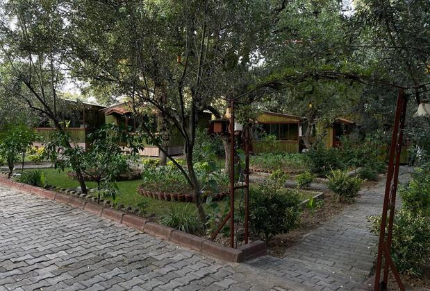 Ela Ela Bungalov Evler - Görsel 23